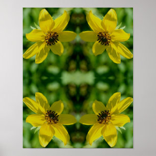 Affiche Abstrait floral de tournesol Maximilian