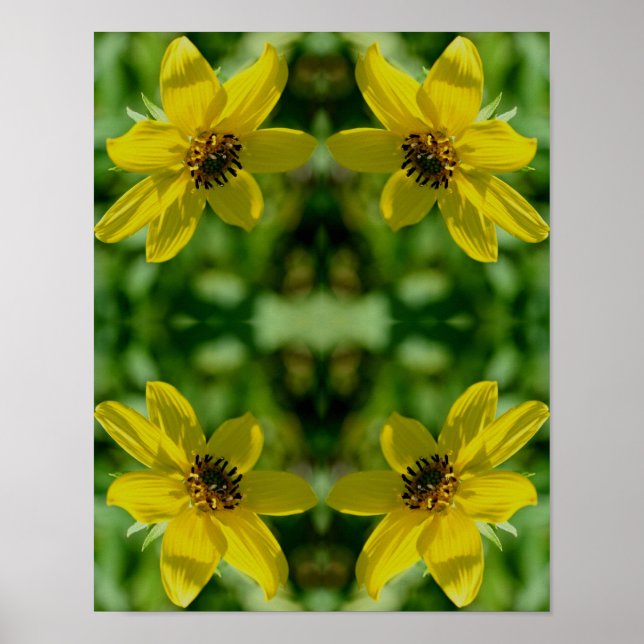 Affiche Abstrait floral de tournesol Maximilian (Devant)