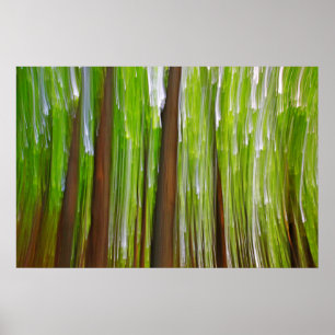 Affiche Abstrait Maple Grove