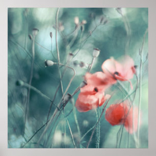 Affiche Abstrait moderne Dreamy Pink Turquoises pies Flora