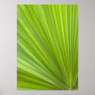 Affiche Abstrait Tropical Green Palm Frond