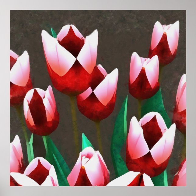 Affiche Abstraite florale des tulipes rouges (Devant)