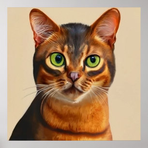 Affiche Abyssinian - Portrait de chat