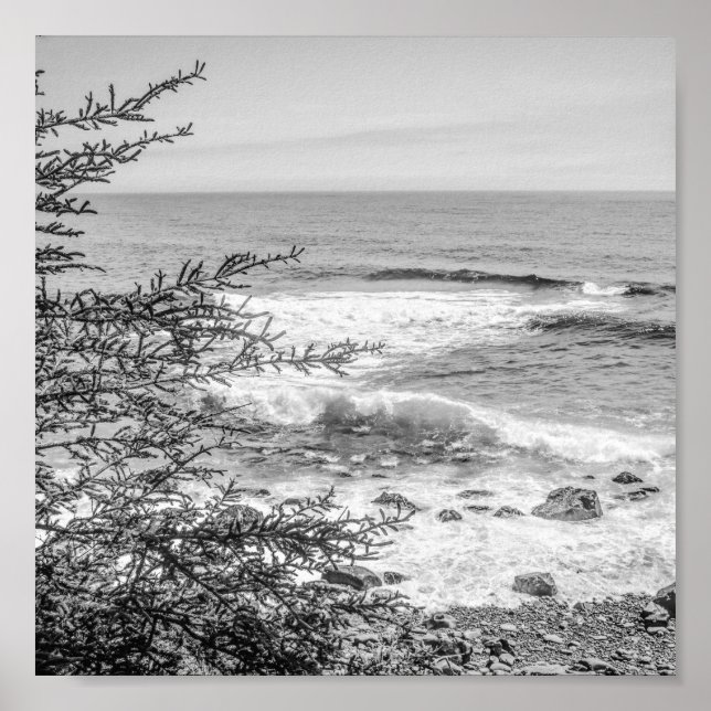 Affiche Acadia Maine Coastline Black and White Archival (Devant)