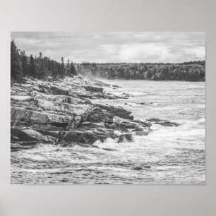 Affiche Acadia Maine Rocky Coastline Noir et blanc