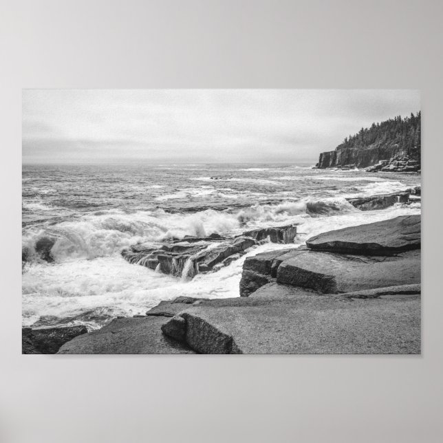 Affiche Acadia Rocky Coastline dans le Maine Noir et Blanc (Devant)