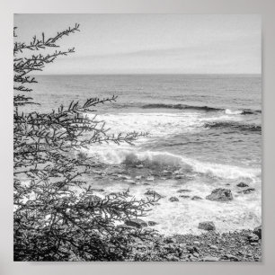 Affiche Acadie Littoral du Maine Noir et Blanc Archivage