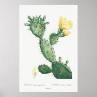 Accent Tropical Cactus Jaune Vintage Floral