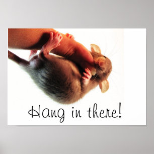 Affiche Accrochez-vous à There Rat