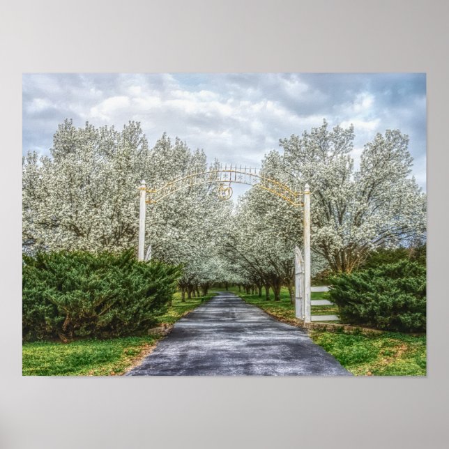 Affiche Accueil du lecteur Spring (Devant)
