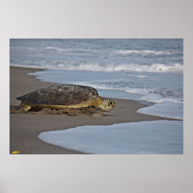 Affiche Accueil II (Devant)