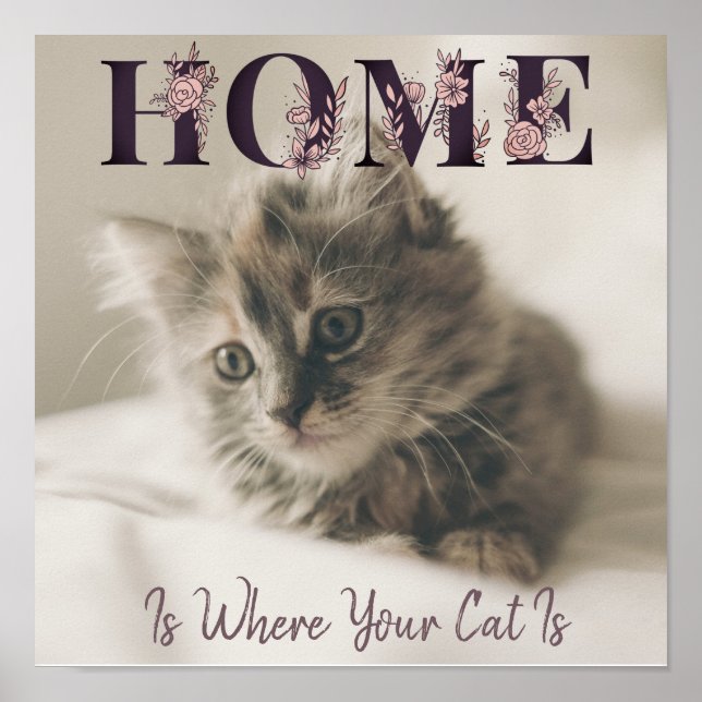 Affiche Accueil Où Est Votre Chat (Devant)