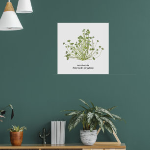 Affiche Acetabularia (Wineglass de sirène)