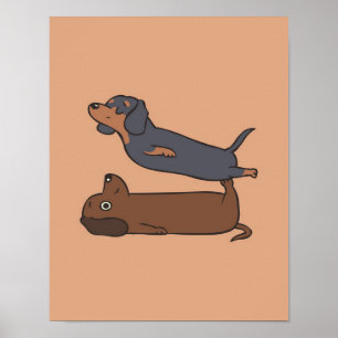 Affiche Acroyoga Dachshund Dachshund Lover Cadeau