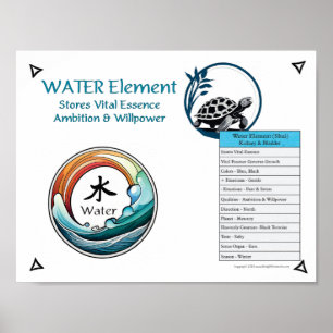 Affiche Acupuncture de l'élément Eau