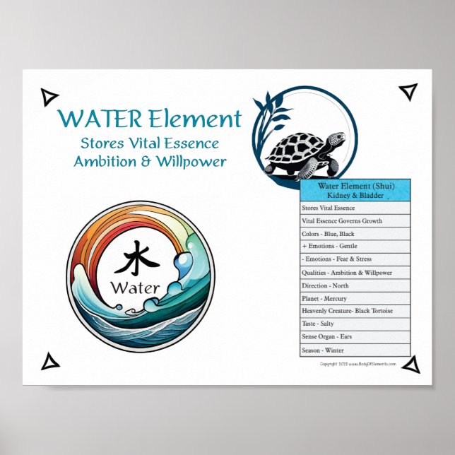Affiche Acupuncture de l'élément Eau (Devant)
