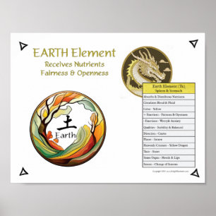 Affiche Acupuncture de l'élément Terre