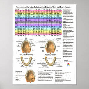 Affiche Acupuncture Dentaire Dents Méridiens
