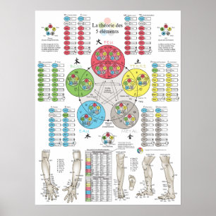 Affiche Acupuncture des Cinq Éléments Française