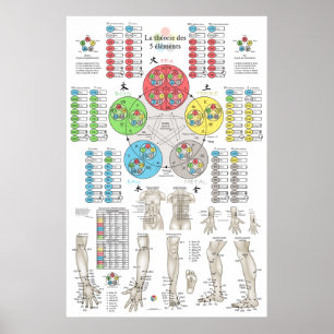 Affiche Acupuncture des Cinq Éléments Française