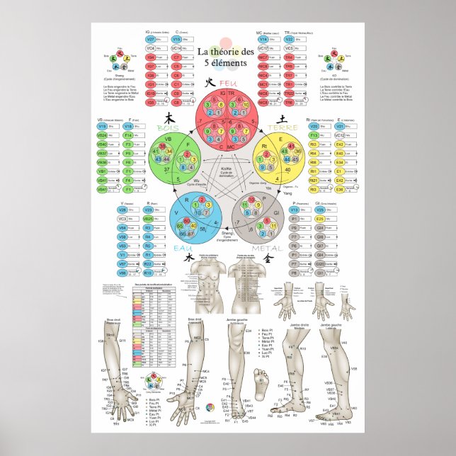 Affiche Acupuncture des Cinq Éléments Française (Devant)