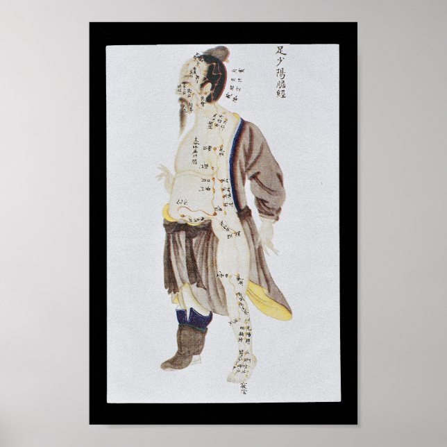 Affiche Acupuncture Galerie Vessie Méridien Pied Shaoyang (Devant)