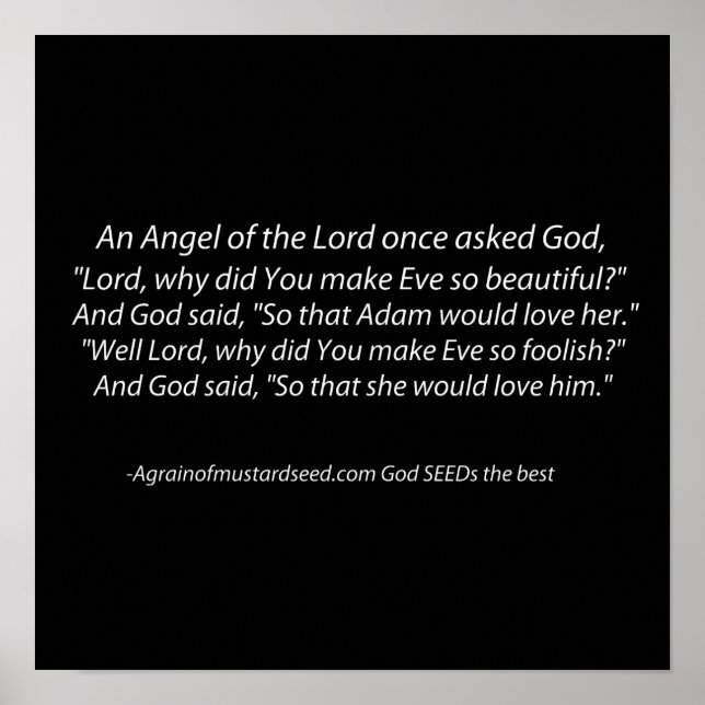 Affiche Adam et Eve Fun Christian (Devant)