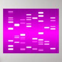 ADN Code génétique Pink Magenta