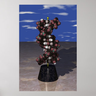 Affiche ADN sur un socle