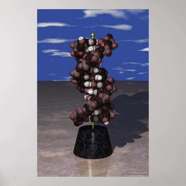 Affiche ADN sur un socle (Devant)