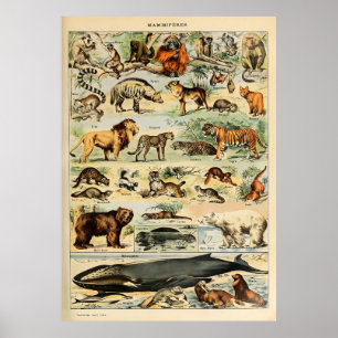 Affiche Adolphe Millot Animaux