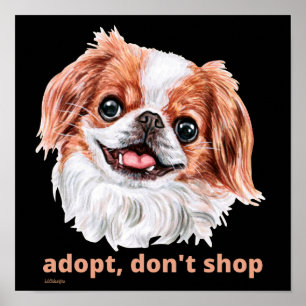 Affiche ADOPT, NE SHOP (japonais chinois espagnol) chien m