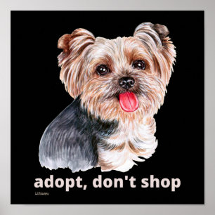 Affiche ADOPT, NE SHOP (Yorkshire Terrier) chien mignon