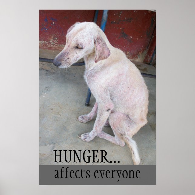 Affiche Adopter le magasin de points (Devant)