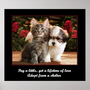 Affiche Adopter un animal de compagnie