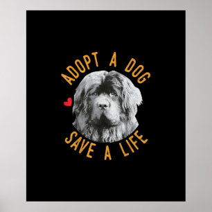 Affiche Adopter un chien Sauver une Secourt de vie Terre-N