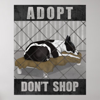 Affiche Adoptez, n'achetez pas