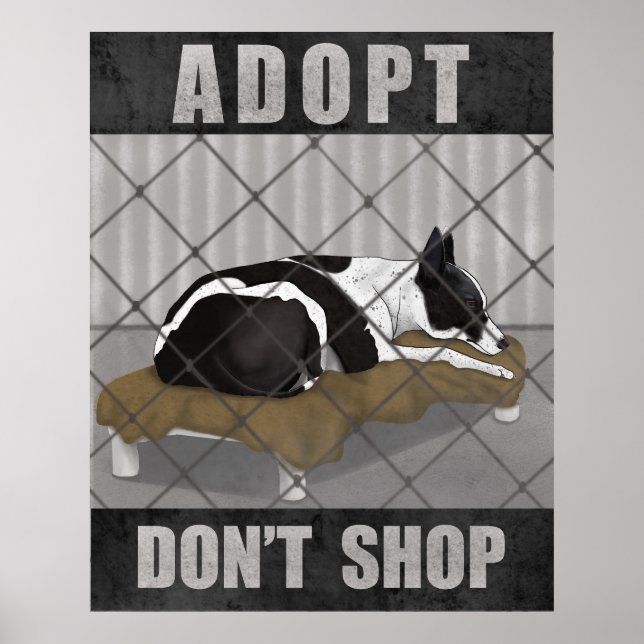 Affiche Adoptez, n'achetez pas (Devant)