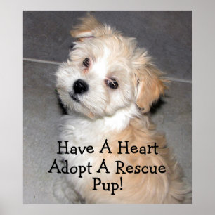 Affiche Adoptez Une Secourt !