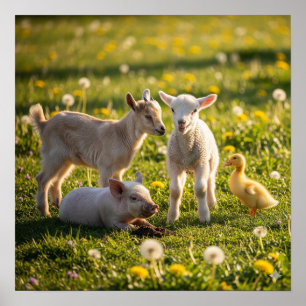 Affiche Adorable Baby Farm Animaux
