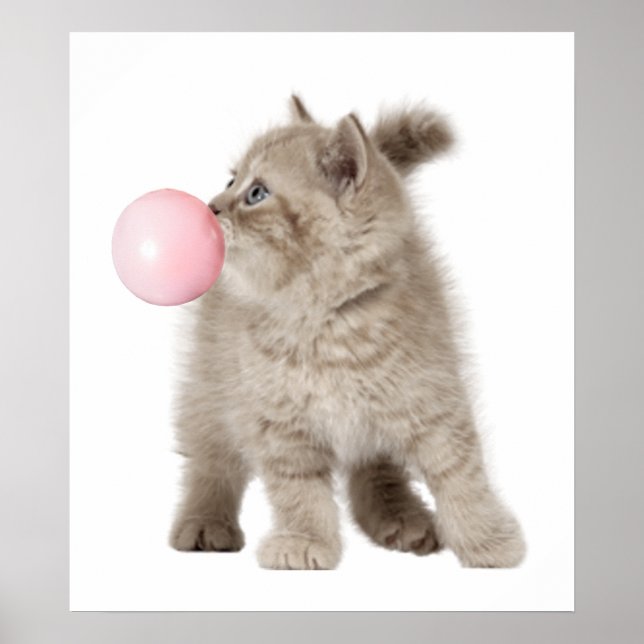 Affiche Adorable Chat Chaton Bubble Gum Crèche Enfant (Devant)
