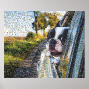 Affiche Adorable dog hanging out of the window mosaic