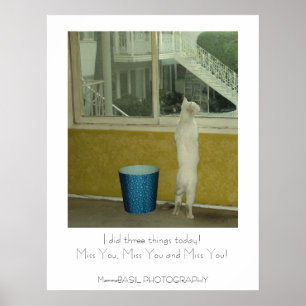 Affiche Adorable Miss You !