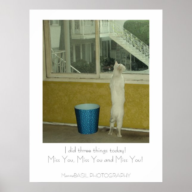 Affiche Adorable Miss You ! (Devant)