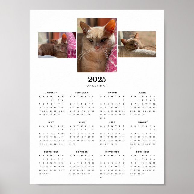Affiche Adorable Orange Tabby Cat Ginger 2025 Calendrier (Devant)