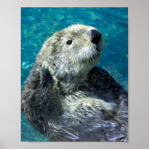 Affiche Adorable Otter de mer Mignonne Eau Bleue