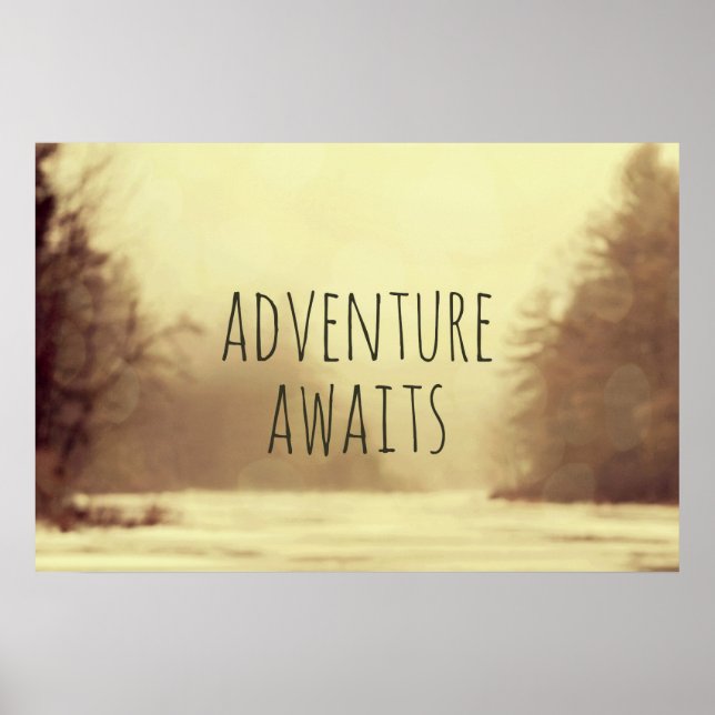Affiche Adventure Await II (Devant)