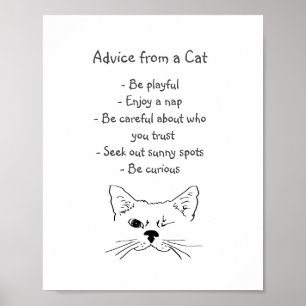 Affiche Advice from Winking Cat Fun Animal Humor