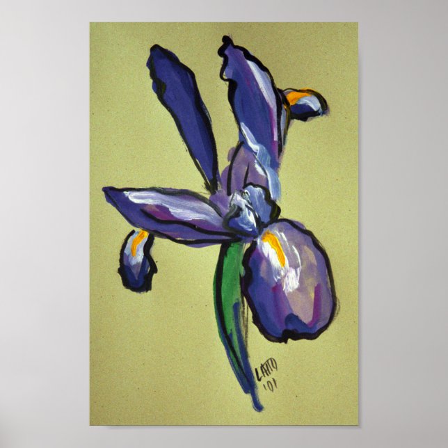 Affiche Aéronautique Iris peinture moderne Art Imprimer Po (Devant)
