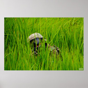 Affiche Aéronef en lames de gazon